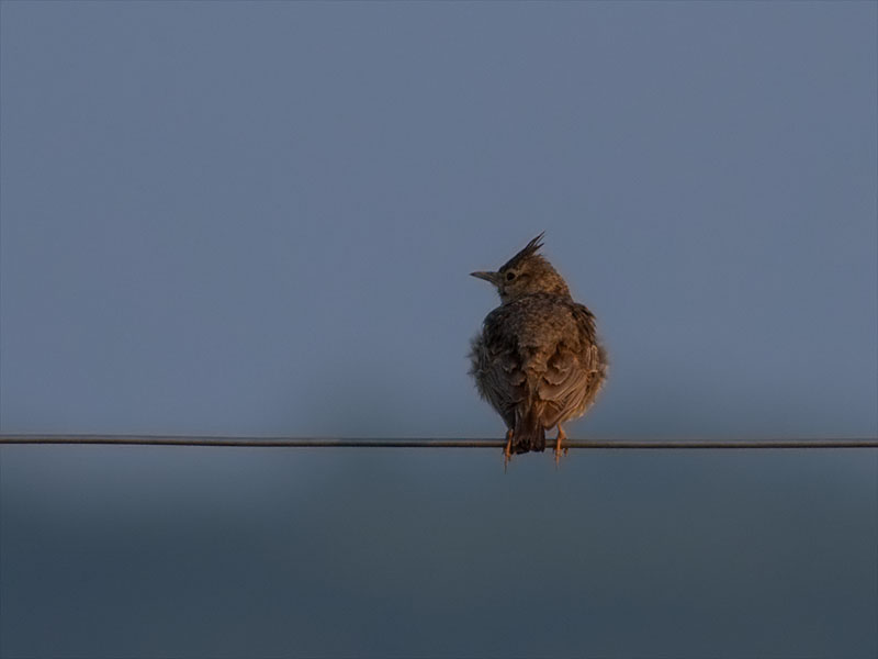 Klikni za ogled večje slike