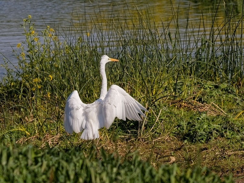 Klikni za ogled večje slike