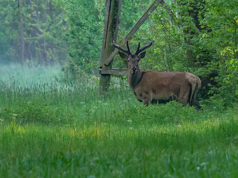 Klikni za ogled večje slike