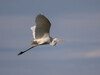 IMG_3499~1.jpg