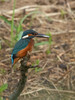 IMG_4603~0.jpg
