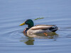 IMG_8367~1.jpg