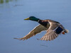 IMG_8385.jpg