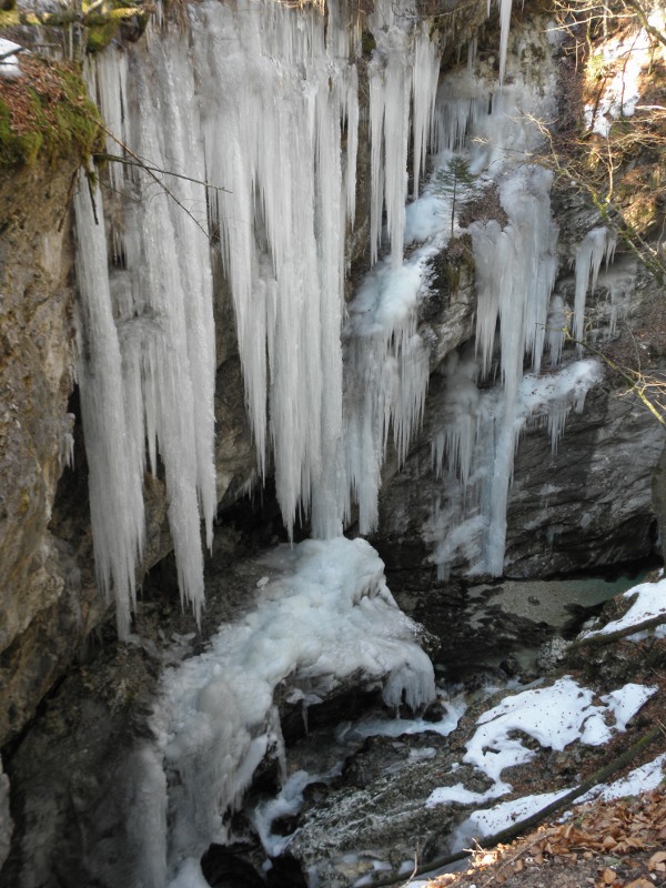 Klikni za ogled večje slike