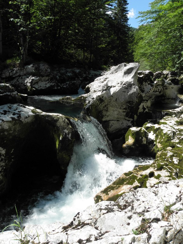 Klikni za ogled večje slike