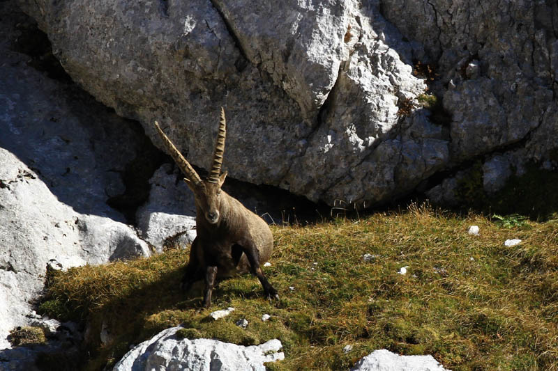 Klikni za ogled večje slike