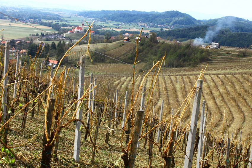 Klikni za ogled večje slike