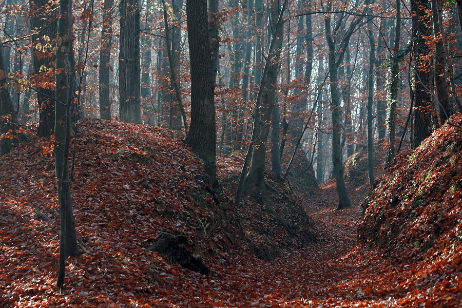 Klikni za ogled večje slike