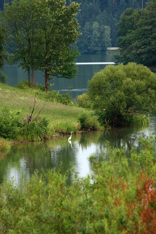 Klikni za ogled večje slike