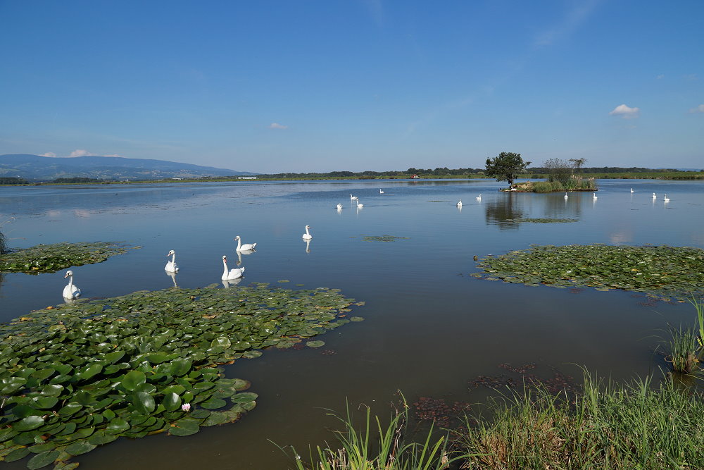 Klikni za ogled večje slike