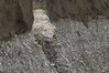 DSC_6011_1.jpg