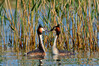 Ime datoteke: DSC_3662.jpg
Velikost datoteke: 896kB
Dimenzija: 1500x1000
Datum objave: June 28, 2025 DSC_3662.jpg