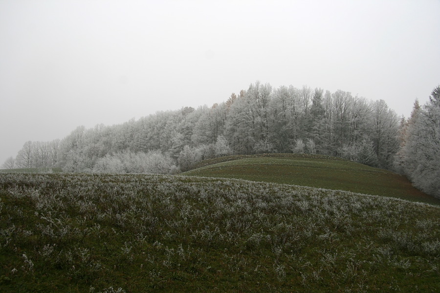 Klikni za ogled večje slike