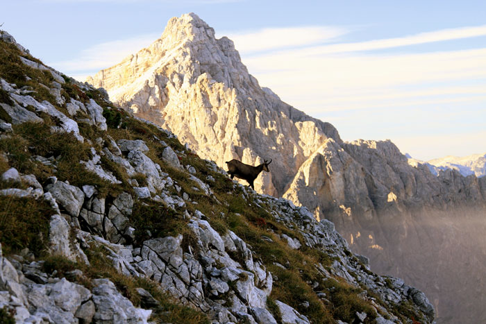 Klikni za ogled večje slike