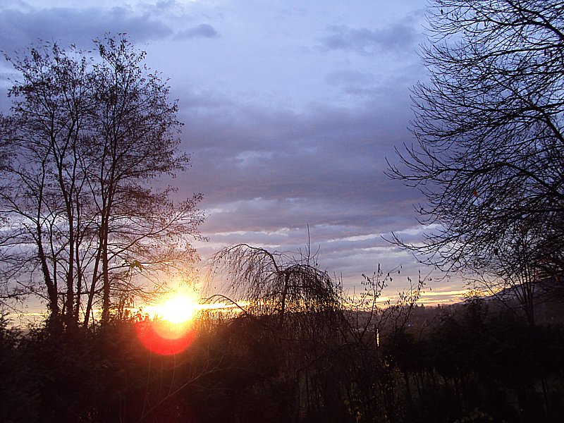 Klikni za ogled večje slike