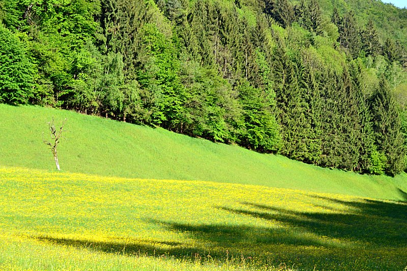 Klikni za ogled večje slike