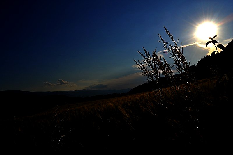 Klikni za ogled večje slike