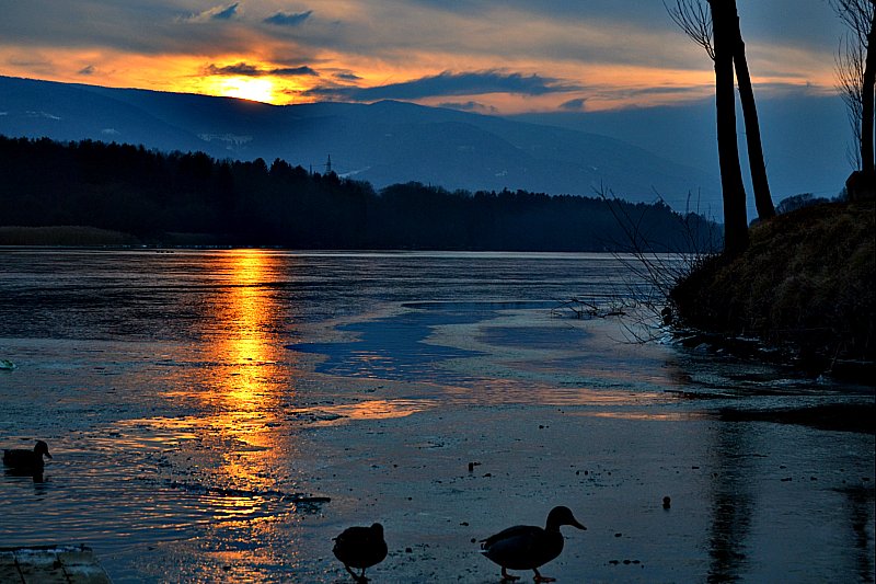 Klikni za ogled večje slike