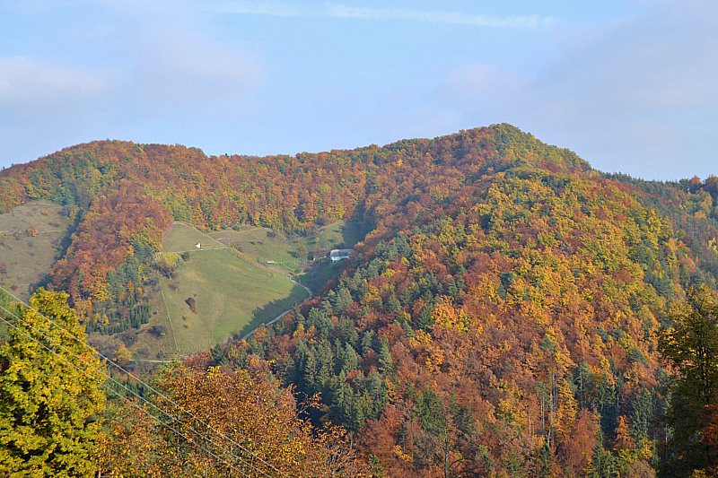 Klikni za ogled večje slike