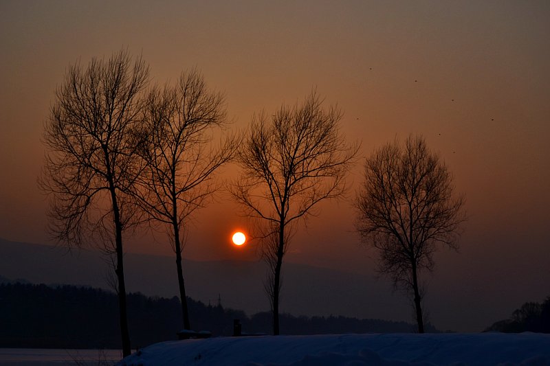 Klikni za ogled večje slike