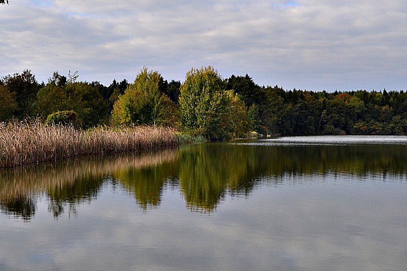 Klikni za ogled večje slike