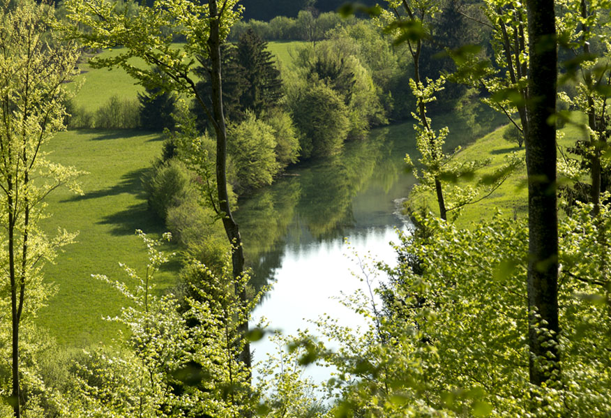 Klikni za ogled večje slike