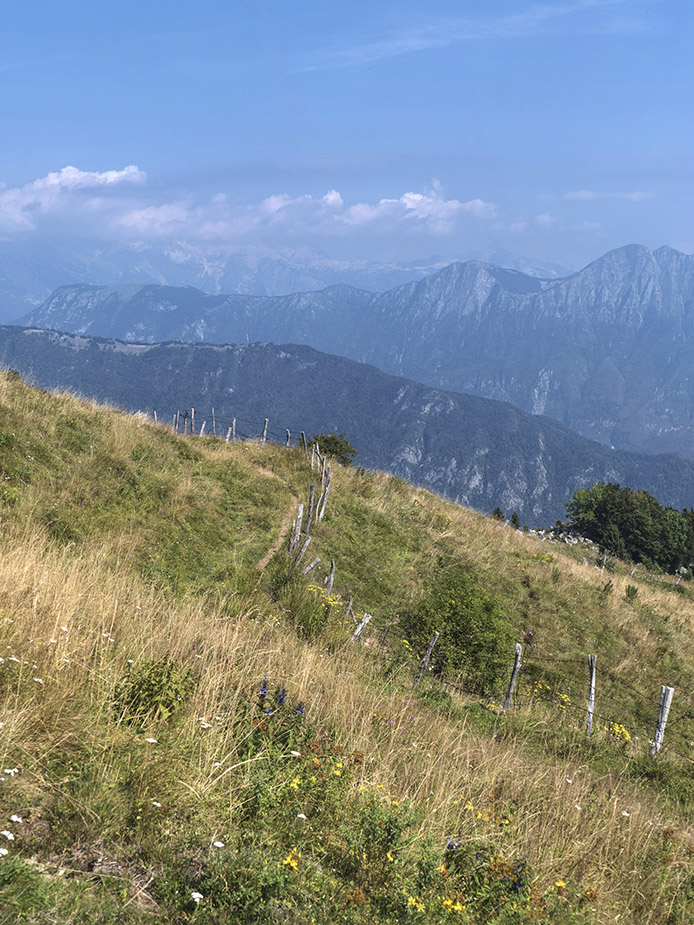 Klikni za ogled večje slike