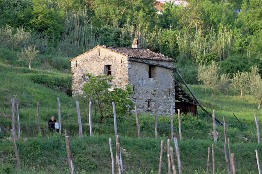 Klikni za ogled večje slike