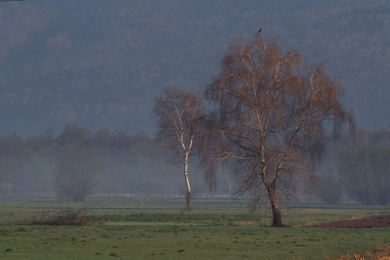 Klikni za ogled večje slike