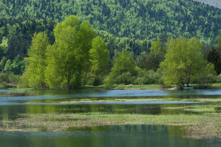 Klikni za ogled večje slike