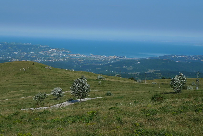 Klikni za ogled večje slike