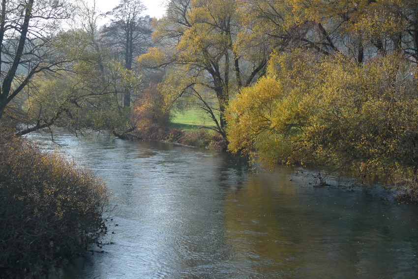 Klikni za ogled večje slike