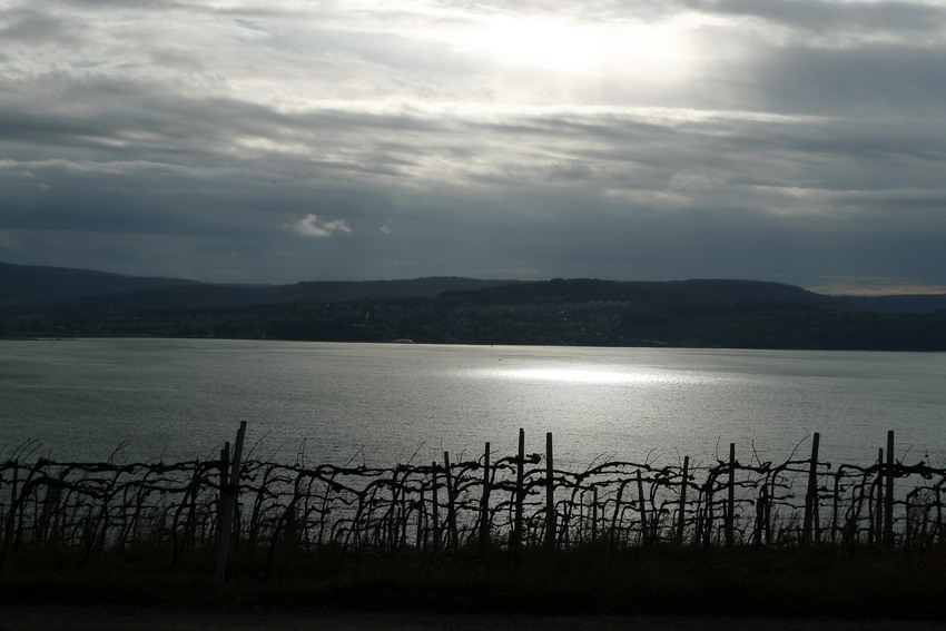 Klikni za ogled večje slike