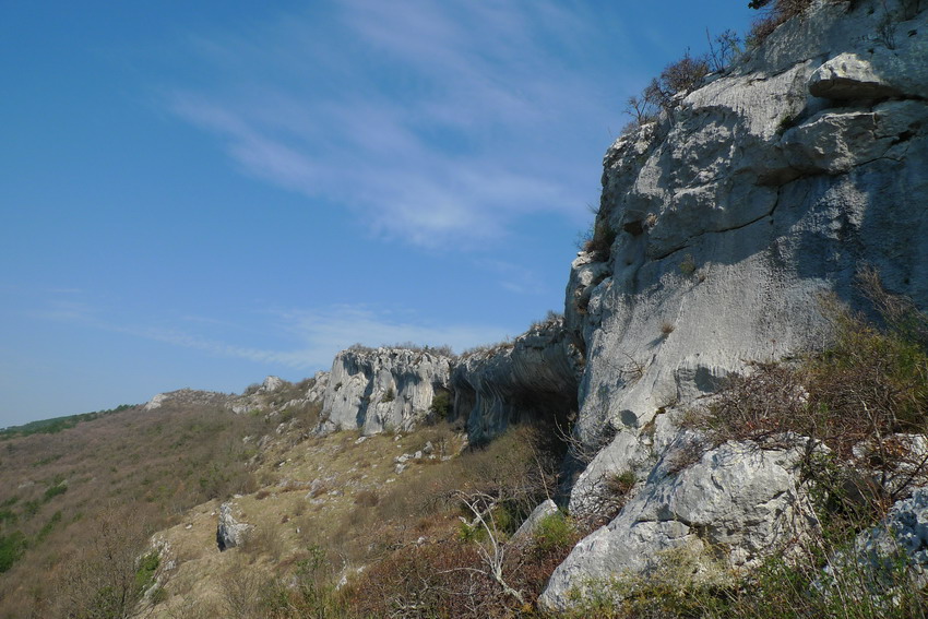 Klikni za ogled večje slike