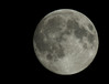 super-luna-fn.jpg