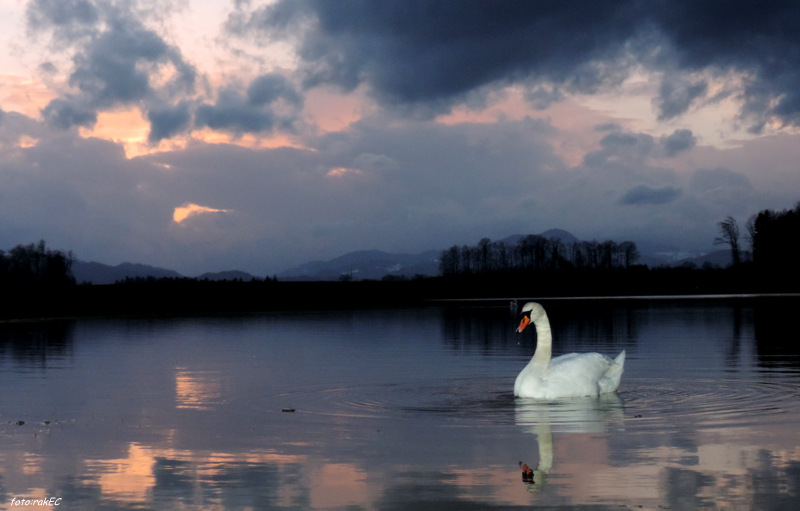 Klikni za ogled večje slike