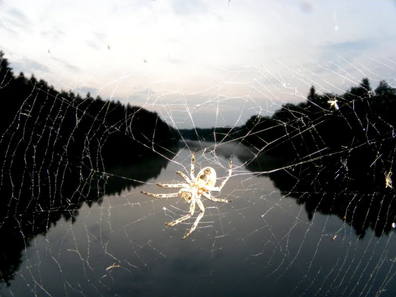 Klikni za ogled večje slike