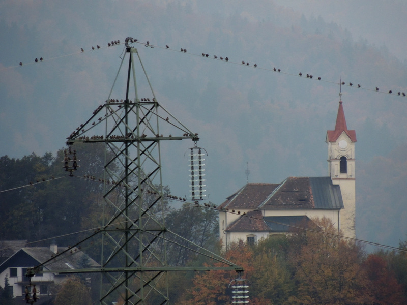 Klikni za ogled večje slike