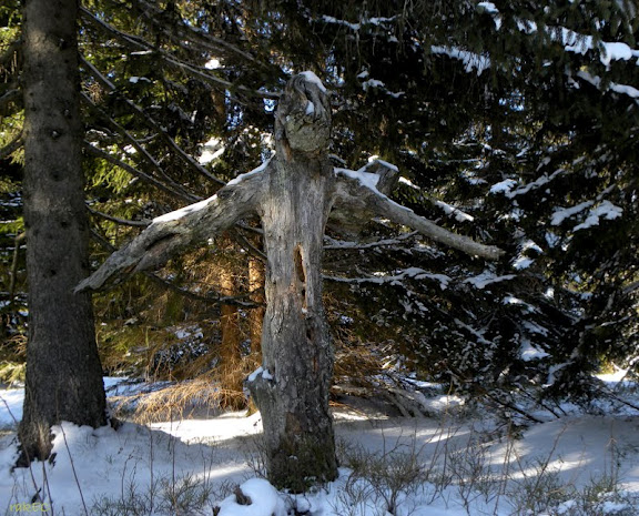 Klikni za ogled večje slike