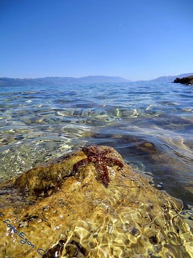 Klikni za ogled večje slike