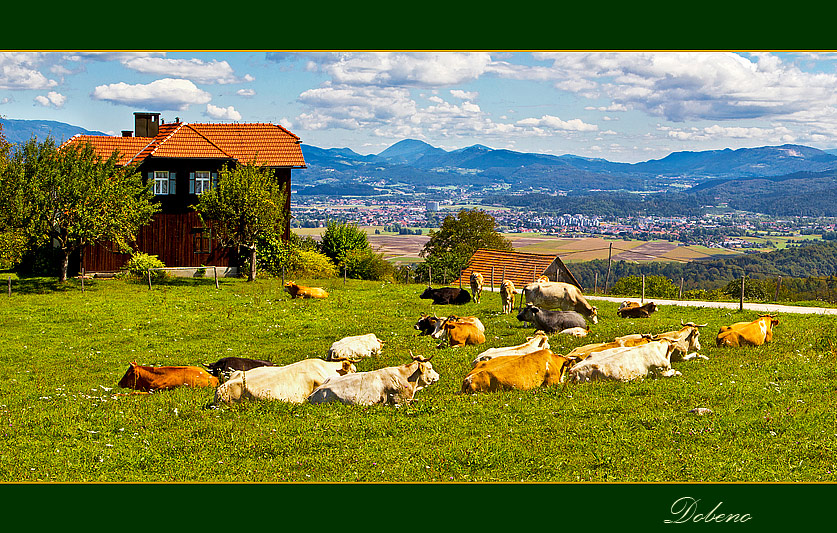 Klikni za ogled večje slike