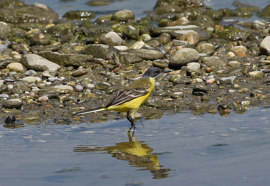 Klikni za ogled večje slike