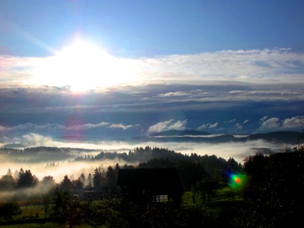 Klikni za ogled večje slike