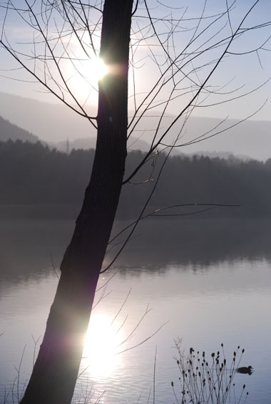 Klikni za ogled večje slike