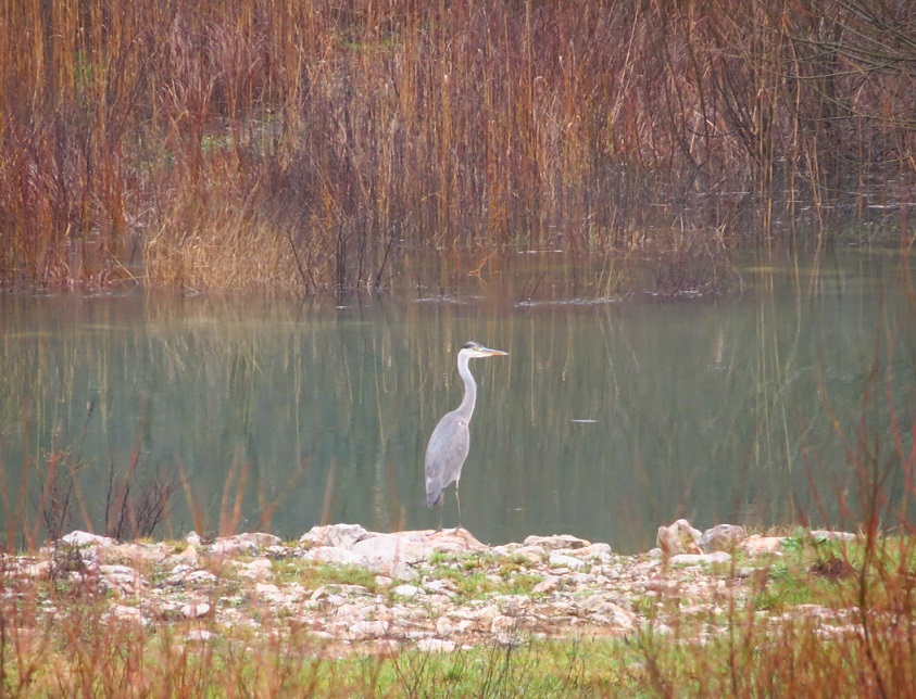 Klikni za ogled večje slike