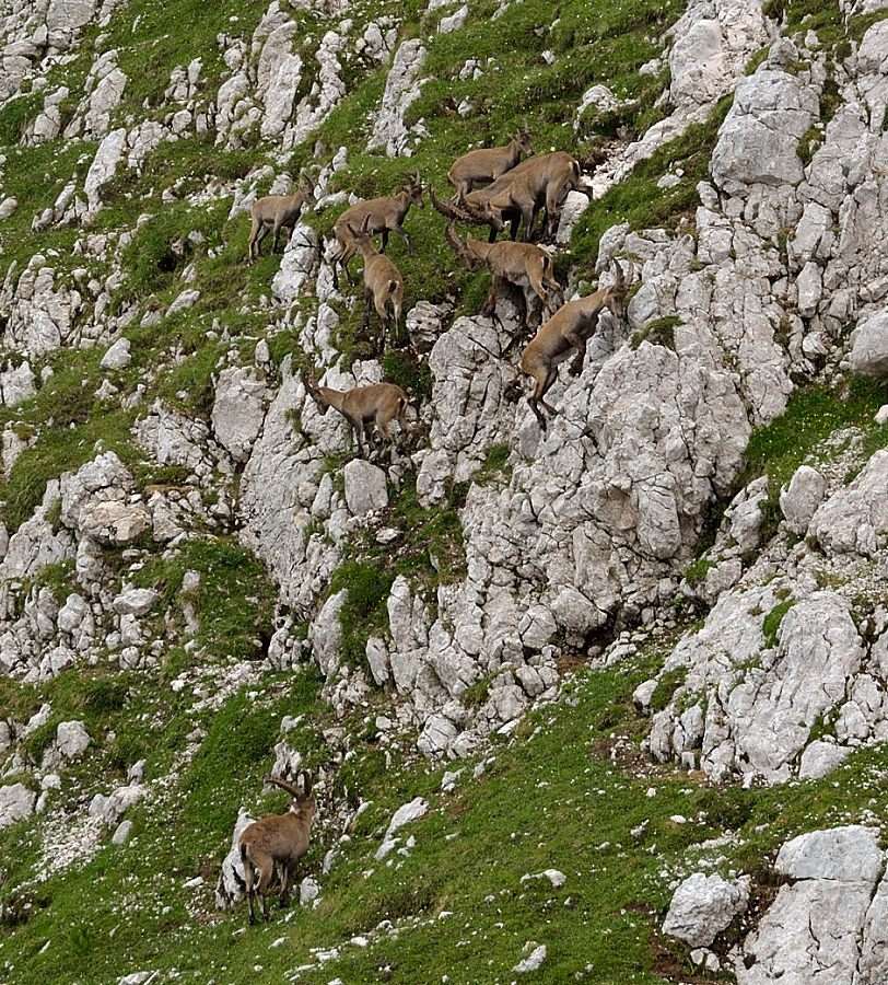 Klikni za ogled večje slike