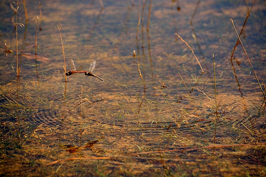 Klikni za ogled večje slike