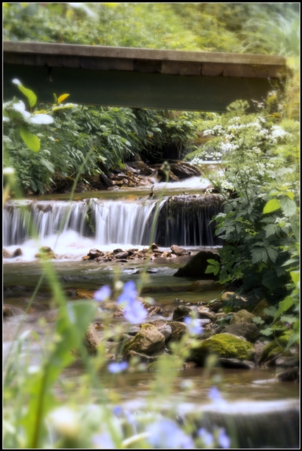 Klikni za ogled večje slike