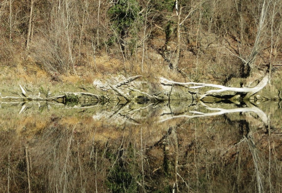 Klikni za ogled večje slike