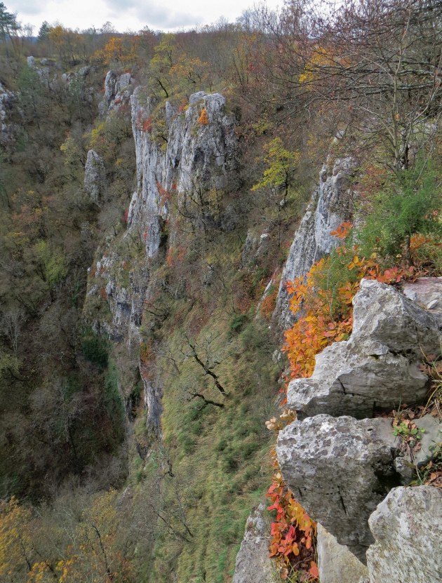 Klikni za ogled večje slike